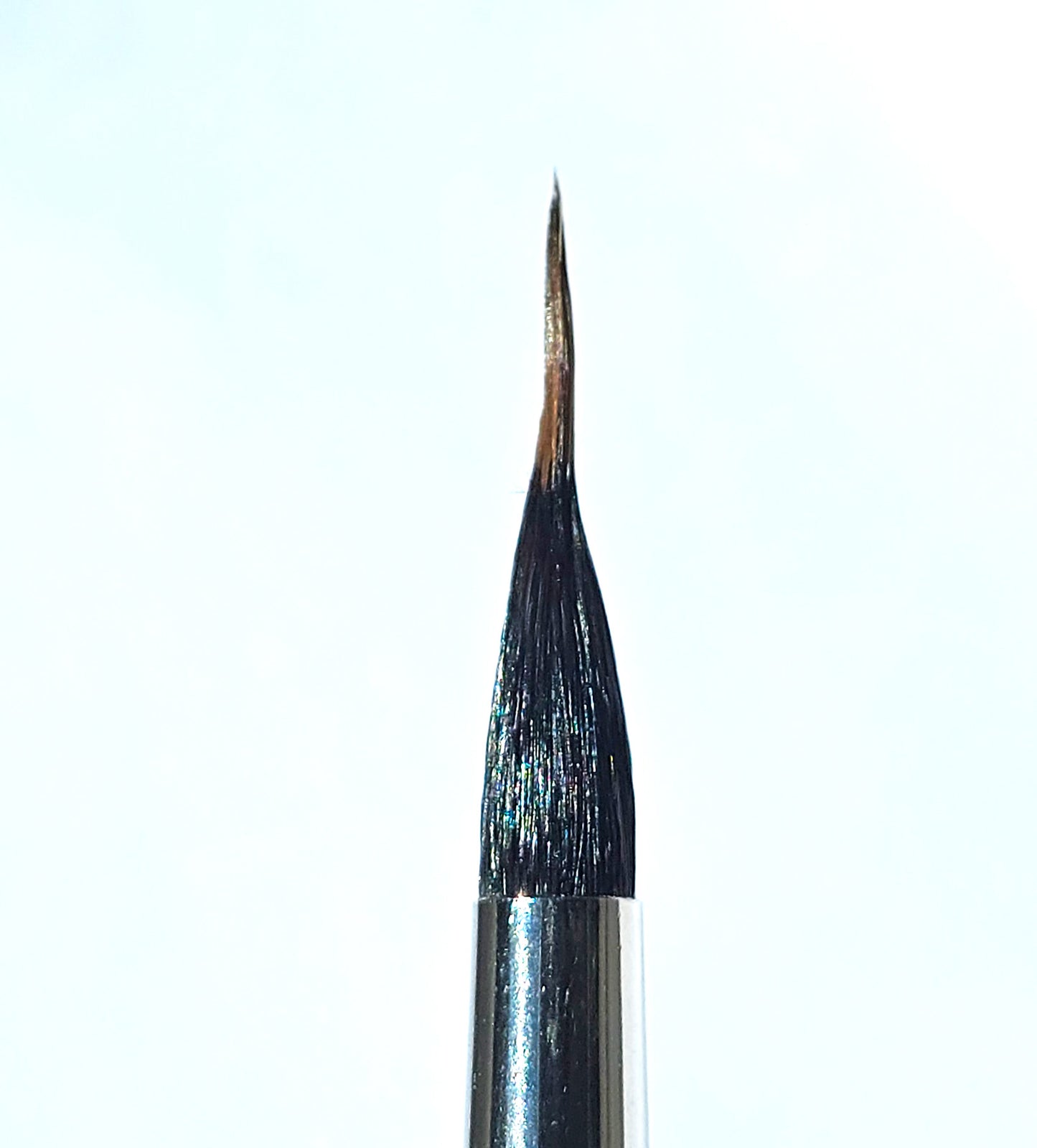 Red Sable Extended Point