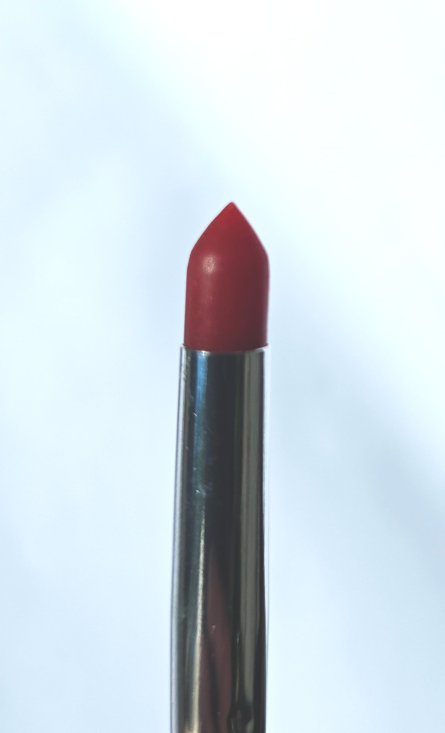 Silicone Tip Brush